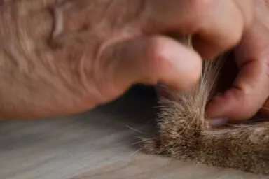 Mains travaillant des poils naturels pour la fabrication artisanale de pinceaux de haute qualité