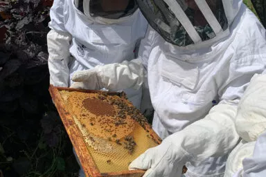 Team inspecting a honeycomb frame in protective suits outside Sennelier Manufacture