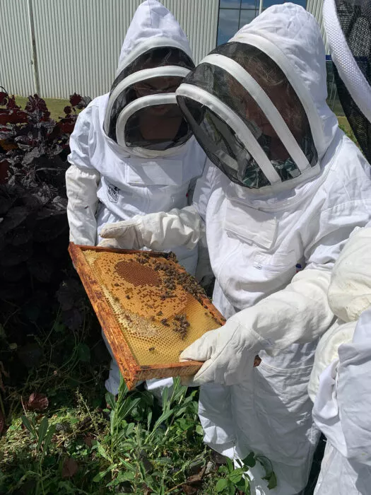 Team inspecting a honeycomb frame in protective suits outside Sennelier Manufacture